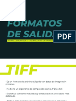 Formatos de Salida