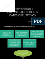 Comprensión e interpretación cualitativa