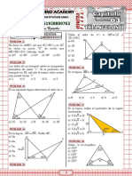 05 Triangulos