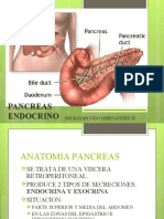 Pancreas Endocrino