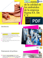 Exposicion Del Protocolo Embutidos