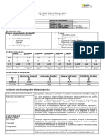 Ejemplo Informe