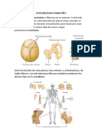Articulaciones Inmóviles