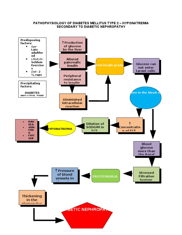 Pathophysiology of Type 2 Diabetes | PDF | Diabetes | Insulin
