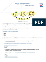 Niveles tróficos: ejemplos de cadenas alimenticias