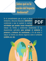 Infografía Evaluación Del Impacto Ambiental