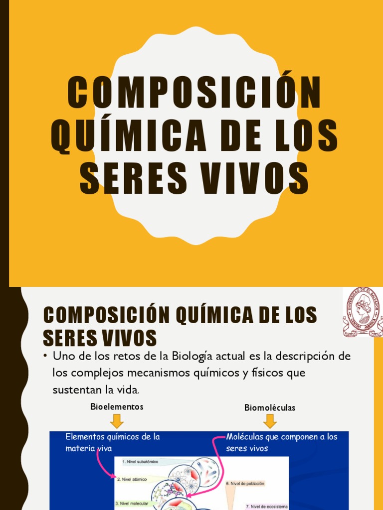 Composicion Quimica de La Materia en Los Seres Vivos | Descargar gratis ...