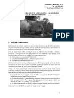 MANUAL DE OPERACION DEL HORNO RABO QUENTE Con 8 A 12 CHIMENEAS