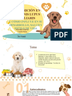Tesis Canis Lupus Familiaris (Perros)