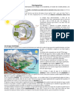 6 Ciclos Biogeoquímicos