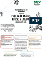 Esquema de Analisis Interno y Externo