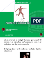 EXPOSICION Anatomía Básica Del Fútbol