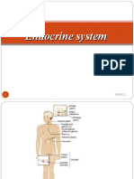 9 Endocrine System