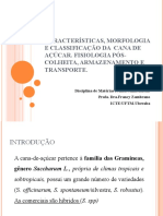 Características J Morfologia e Classificação Da Cana de Açúcar. Fisiologia Pós-Colheita J Armazenamento e Transporte