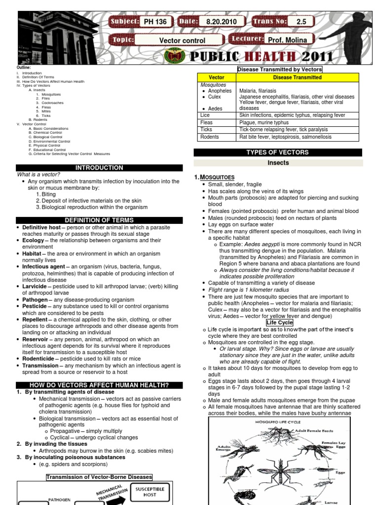 Understanding Vectors and Their Health Impact | PDF | Vector ...