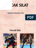 Pencak Silat