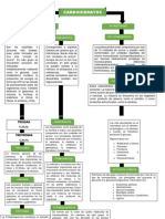 Molliendo Barrera Alondra Del Carmen - Nutrición Animal - Mapa Conceptual - Clasificación de Los Carbohidratos