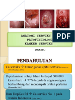 Anatomi Dan Patofisiologi Ca Cervix