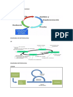 Diagrama de Metodologias