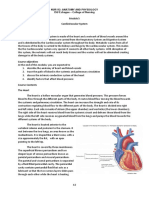 Module 5 CardioVascular System