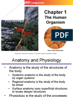 The Human Organism: Cells of The Peritoneum