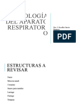 Histología Aparato Respiratorio