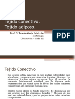 Tejido Conectivo y Adiposo