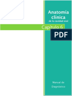 Capitulo 6.anatomia de La Cavidad Oral