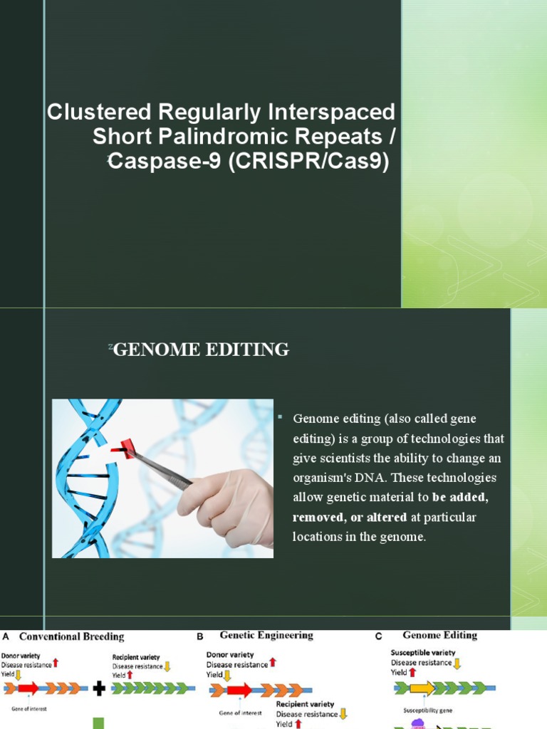 Crispr Tutorial Pdf: Introduction To Crispr Cas9 Techniques – OAPHT