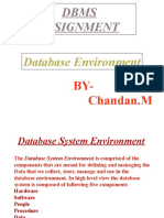 Dbms Assignment: Database Environment