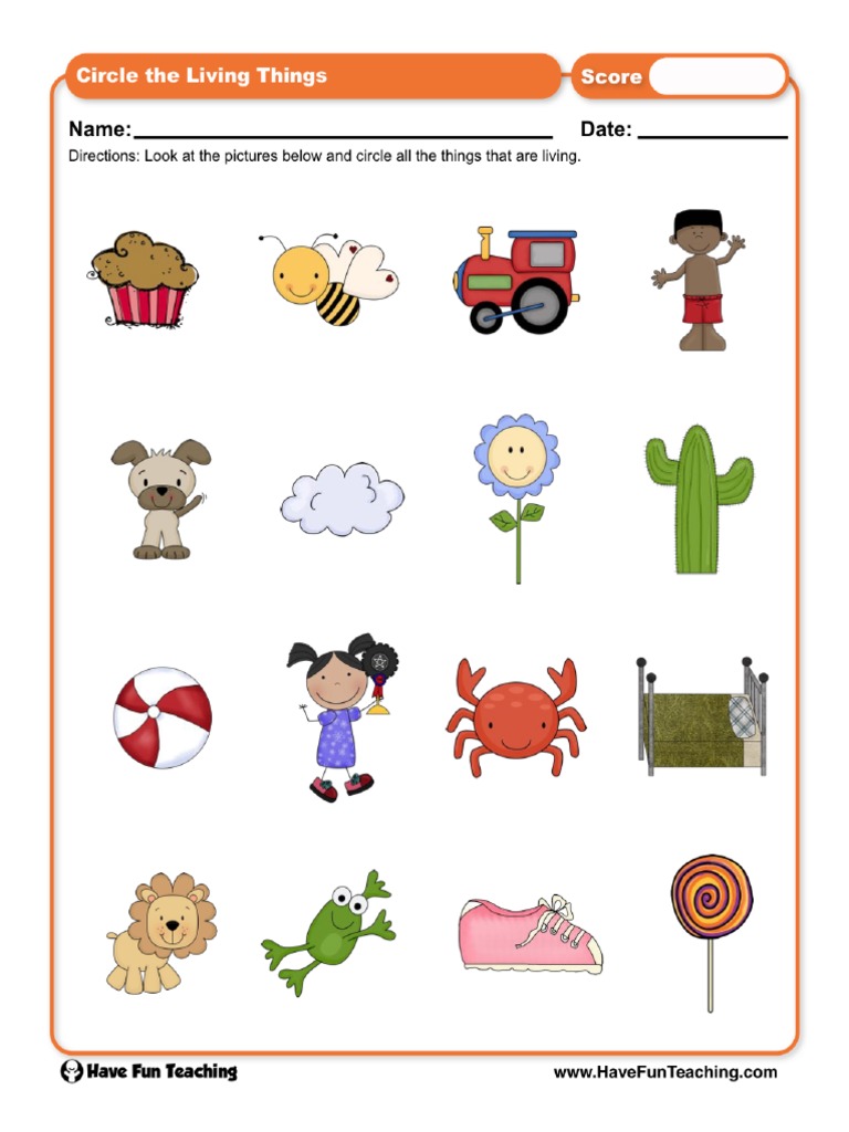 Circle The Living Things Worksheet Pdf