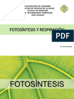Fotosintesis y Respiracion Bio 2011