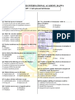 Cell Cycle - DPP - 03 - DPP-03 Vibrant