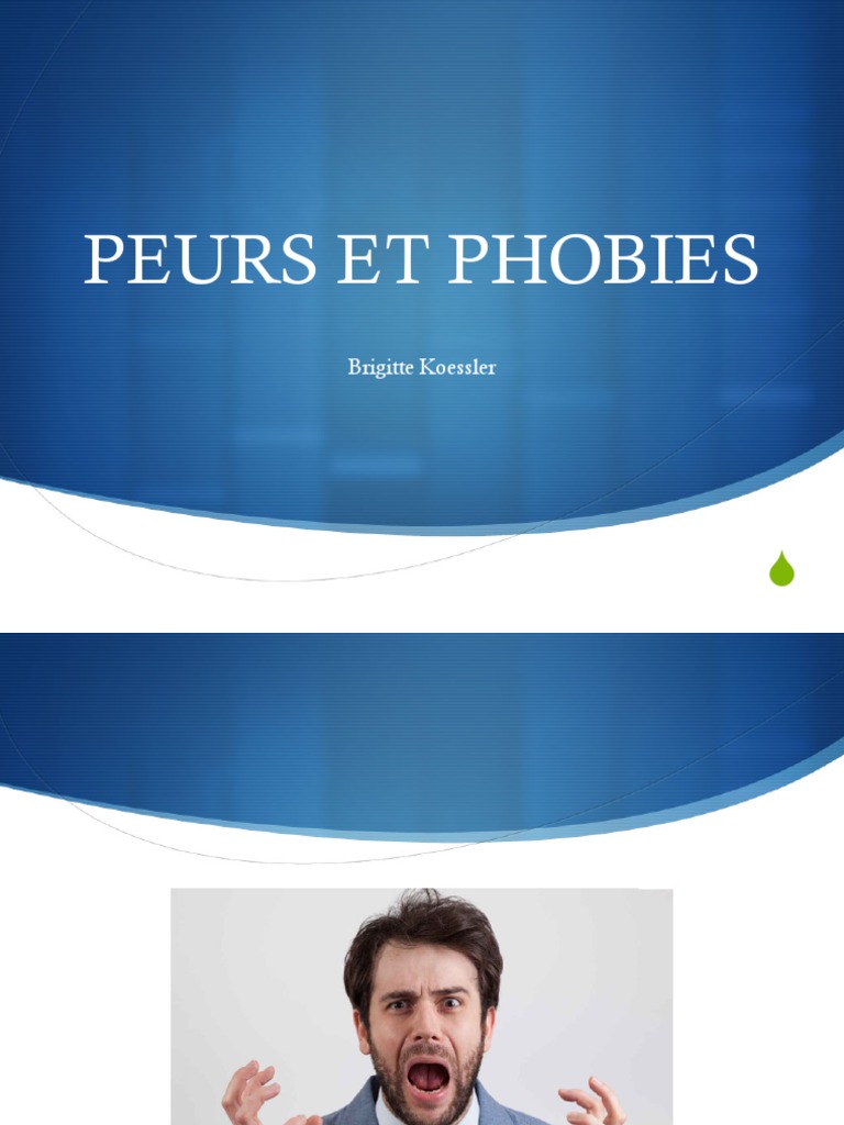 Peurs Et Phobies | PDF | Peur | Phobie