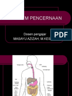 Kuliah 12 Sistem Pencenaan