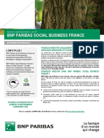 PDF BNP Paribas Social Business France