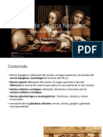 Nervios Bulbares IX, X, IX, XII PDF