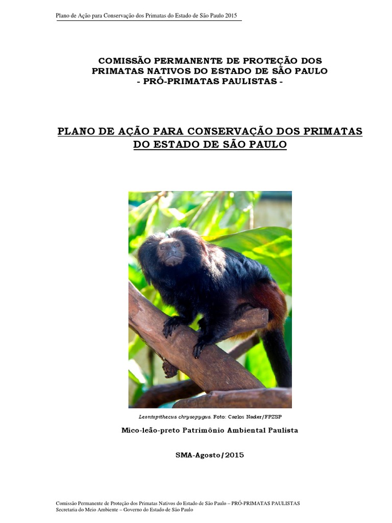 Lista dos 25 macacos mais ameaçados do mundo tem três espécies brasileiras  - ((o))eco