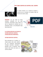 Sistema Nervioso Central