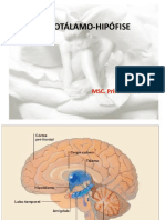 Hipotalamo-Hipofise