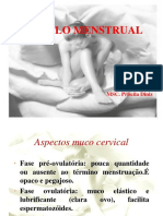 Ciclo Menstrual