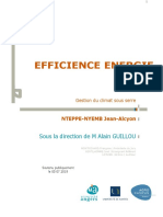 Efficience Energie Serre: Sous La Direction de M Alain GUILLOU