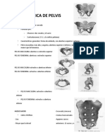 Biomecanica de Pelvis