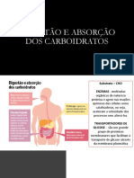 Absorção dos carboidratos: lúmen-enterócito-sangue