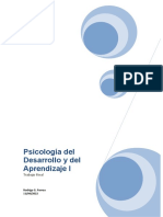 Psicologia Del Desarrollo y Del Aprendisaje I - Trabajo Final