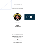 Laporan Pendahuluan Hiperglikemia 9 PDF Free Dikonversi