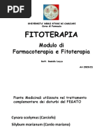 carciofo e cardo mariano