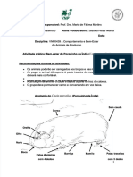 Compacto Do PDF Dos Porquinhos