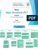 Mapa Conceptual NIC 1