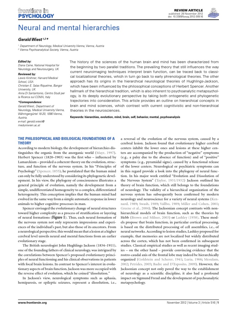 Neural and Mental Hierarchies | PDF | Psychoanalysis | Mind
